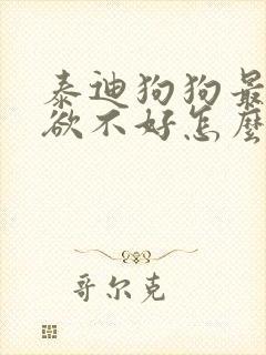 泰迪狗狗最近食欲不好怎么回事