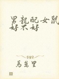 男龙配女鼠婚配好不好