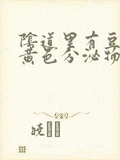 阴道里有豆腐渣黄色分泌物