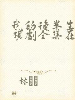 我的后半生在电视剧全集在线观看