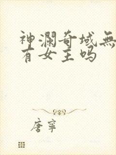 神澜奇域无双珠有女主吗
