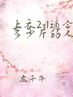 上衣2xl适合多少斤的人穿