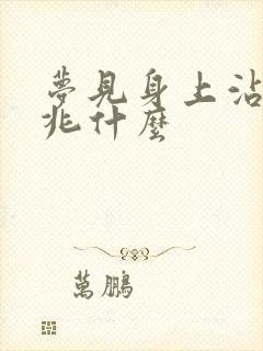 梦见身上沾屎预兆什么