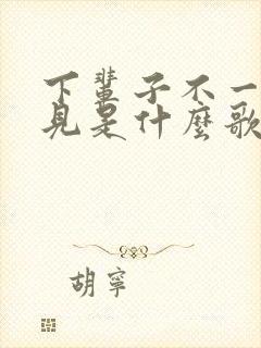 下辈子不一定遇见是什么歌