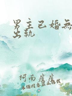 男主已婚无三观出轨