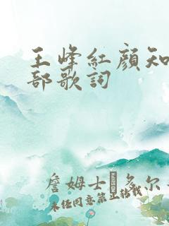 王峰红颜知己全部歌词