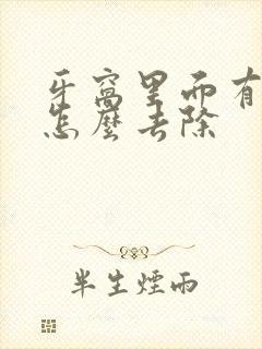 牙窝里面有黑渍怎么去除