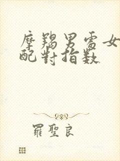 摩羯男处女女座配对指数