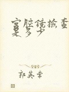 宫腔镜检查费用是多少