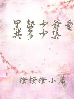 黑帮少爷爱上我共多少集