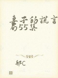 妻子的谎言大结局55集