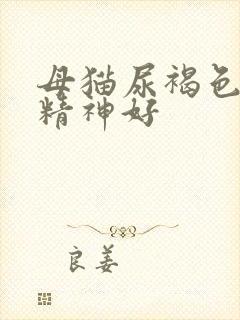 母猫尿褐色但是精神好