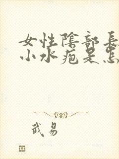 女性阴部长很多小水疱是怎么回事