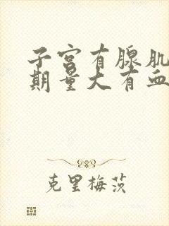 子宫有腺肌症经期量大有血块