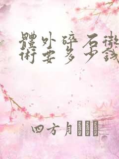 体外碎石微创手术要多少钱