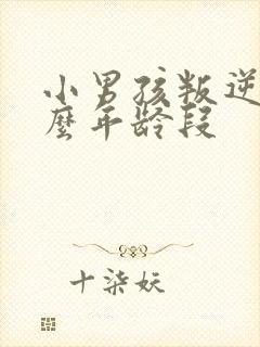 小男孩叛逆期什么年龄段