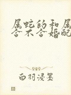 属蛇的和属兔的合不合婚配