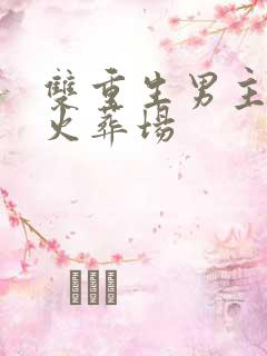 双重生男主追妻火葬场