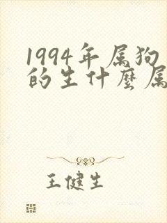 1994年属狗的生什么属相的宝宝好