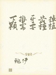 下排牙齿掉了一颗需要种植牙齿吗