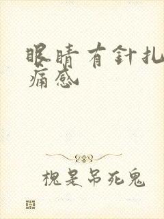 眼睛有针扎的刺痛感