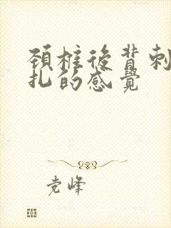 颈椎后背刺痛针扎的感觉