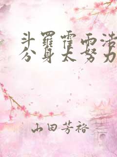 斗罗霍雨浩我的分身太努力