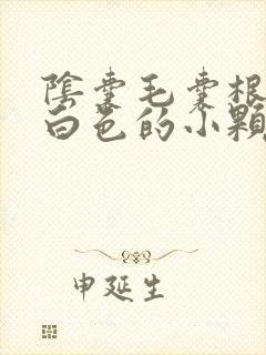 阴囊毛囊根部有白色的小颗粒