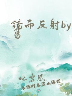 镜面反射by九葛