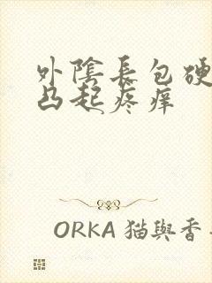 外阴长包硬硬的凸起疼痒