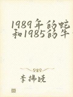 1989年的蛇和1985的牛的婚配