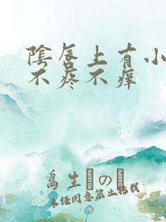 阴唇上有小肉芽不疼不痒