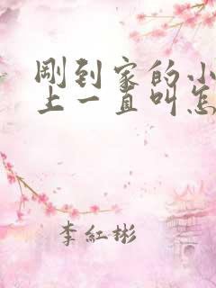 刚到家的小狗晚上一直叫怎么办