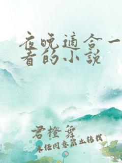 夜晚适合一个人看的小说