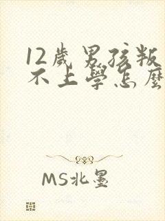 12岁男孩叛逆不上学怎么办