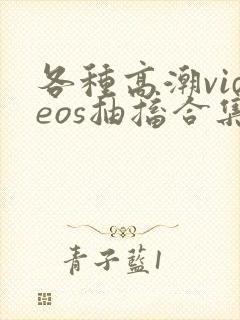 各种高潮videos抽搐合集免费