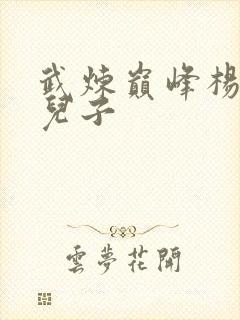 武炼巅峰杨开的儿子