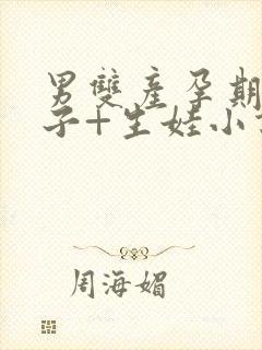 男双产孕期+生子+生娃小说