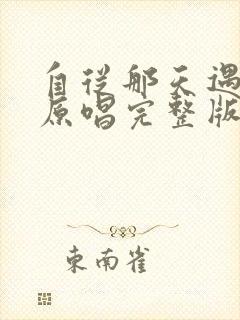 自从那天遇见你原唱完整版