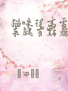 猫咪从高处摔下来腿有点瘸怎么办