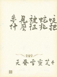 梦见被蛇咬了是什么征兆把蛇打死了