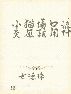 小猫伤口流脓发炎应该用什么药