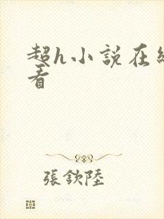 超h小说在线观看