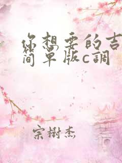 你想要的吉他谱简单版c调