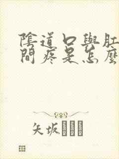 阴道口与肛门中间疼是怎么回事