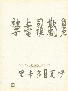 被上司欺负的妻子电视剧免费观看