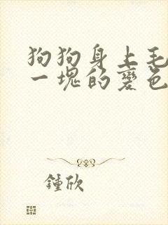 狗狗身上毛一块一块的变色