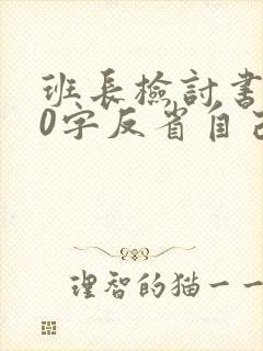 班长检讨书500字反省自己工作失误