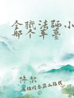全职法师小说在哪个平台