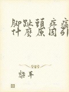 脚趾头疼痛发麻什么原因引起